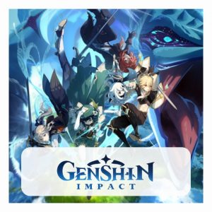 Genshin Impact Hoodies
